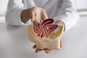 Médico explicando se próstata aumentada tem cura